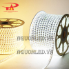 Led dây 2835 hai hàng màu trắng 100m