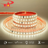 Đèn led dây 2835 220V màu trung tính