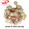 Led bát 12v 30mm màu vàng đầu trong