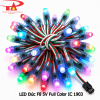 Led đúc F8 5V full color IC 1903
