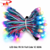 LED đúc F8 5V Full Color IC 8206