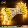 Led ruồi màu vàng senyang