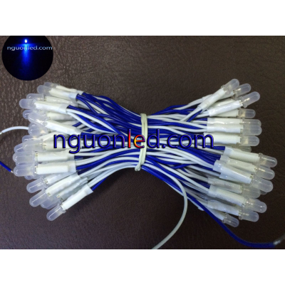 Led ruồi xanh dương senyang