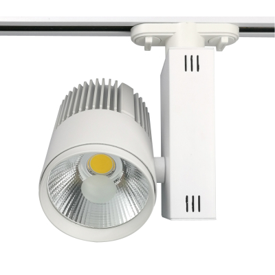 Đèn led chiếu điểm 30W