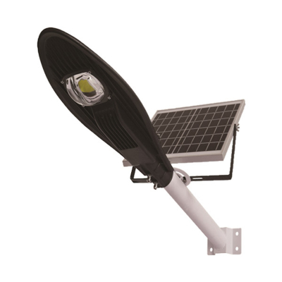 SOLAR STREET LIGHT 30W CHIẾC LÁ