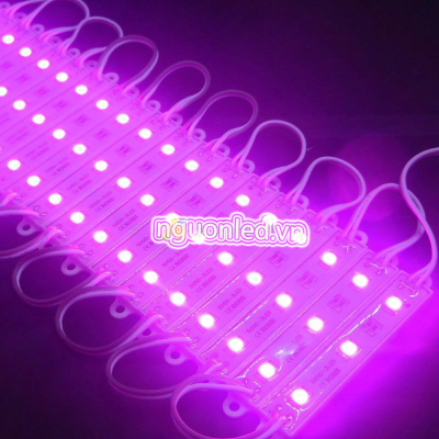 Led module ba bóng màu tím 5050