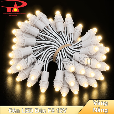 Đèn led đúc F5 12V màu vàng nắng