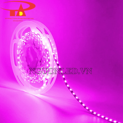 Đèn led dây 2835 4mm màu hồng