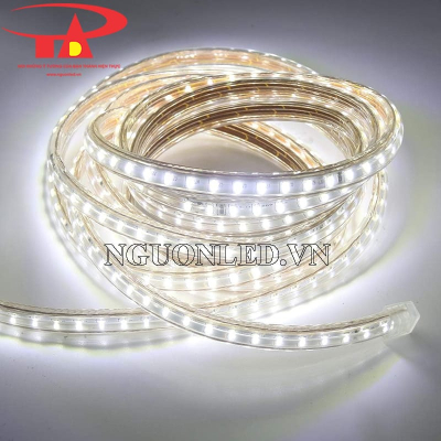 Đèn led dây 3014 màu trắng cuộn 100m