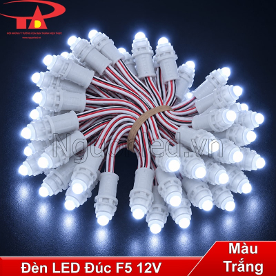 Đèn led đúc F5 12V màu trắng