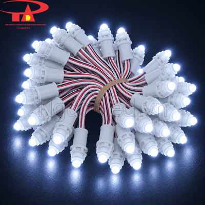 Đèn led đúc F5 12V màu trắng