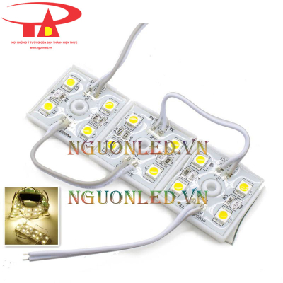 Led module 4 bóng màu vàng