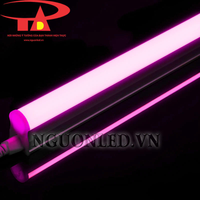 Đèn LED T5 liền máng màu hồng