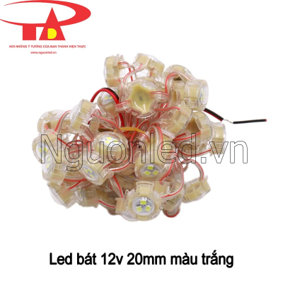 Led bát 12v 20mm màu trắng