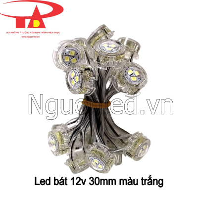 Led bát 12v 30mm màu trắng