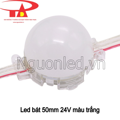 Led bát 50mm 24v màu trắng