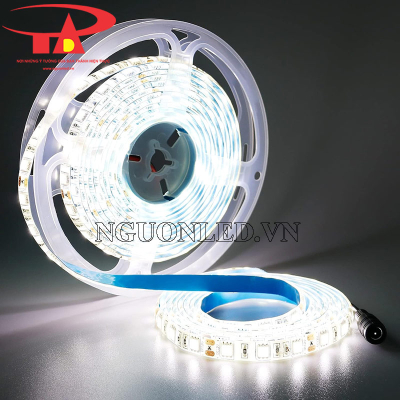 Led dây 5050 màu trắng