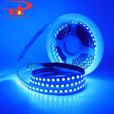 Led dây 5050 xanh dương không keo