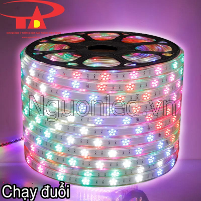 Led dây bông mai chạy đuổi 220V