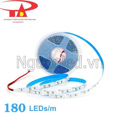 Led dây Samsung 12v 2835 180 led/m