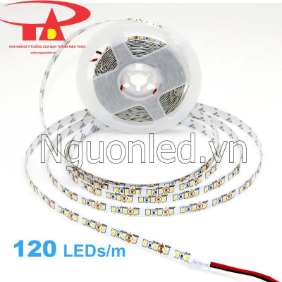 Led dây Samsung 12v 2835 120 led/m