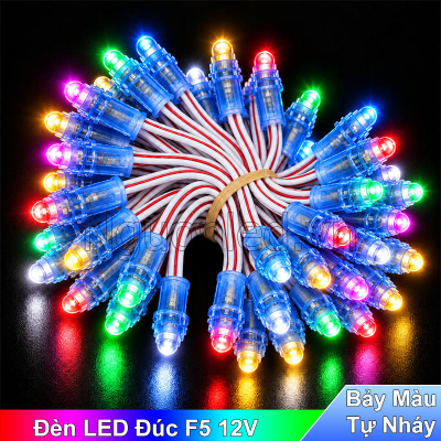 Led đúc F5 12V bảy màu tự nháy