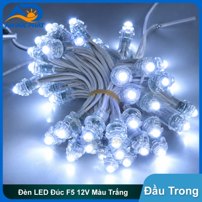 LED đúc F5 màu trắng  đầu trong