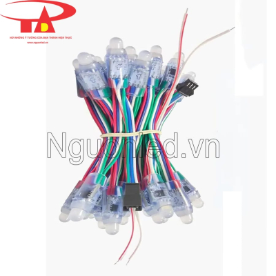 Led đúc f8 5v full color ic 1916