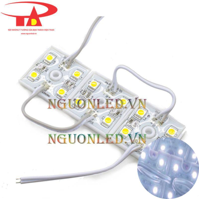 Led module 4 bóng màu trắng