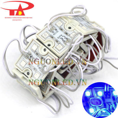 Led module 4 bóng xanh dương