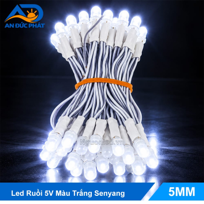 Led ruồi 5V màu trắng senyang