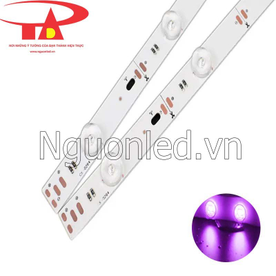 Led thanh 3030 12v ánh sáng hồng