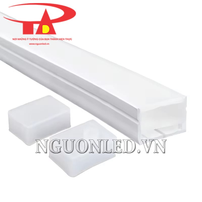 Silicon định hình 3020