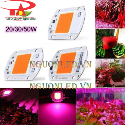 Tim đèn led nông nghiệp