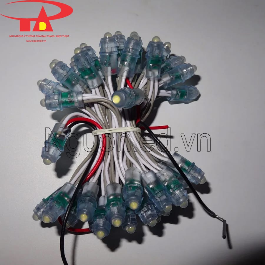 Led đúc F5 12v màu trắng siêu sáng