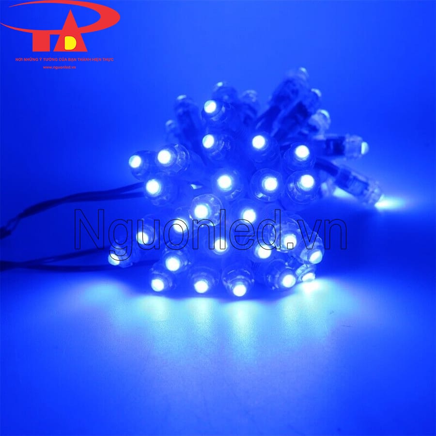 Led đúc F5 12V màu xanh dương