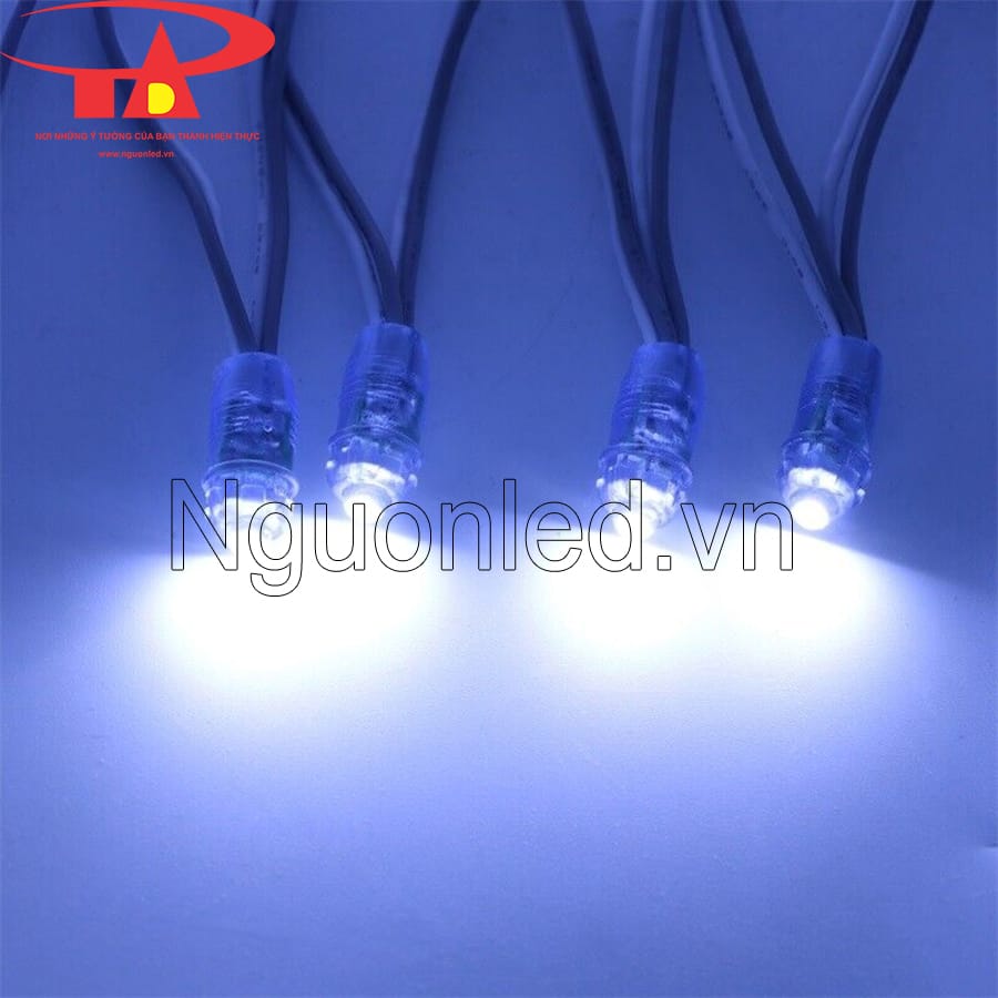 Led đúc F5 màu trắng dùng điện 12VDC