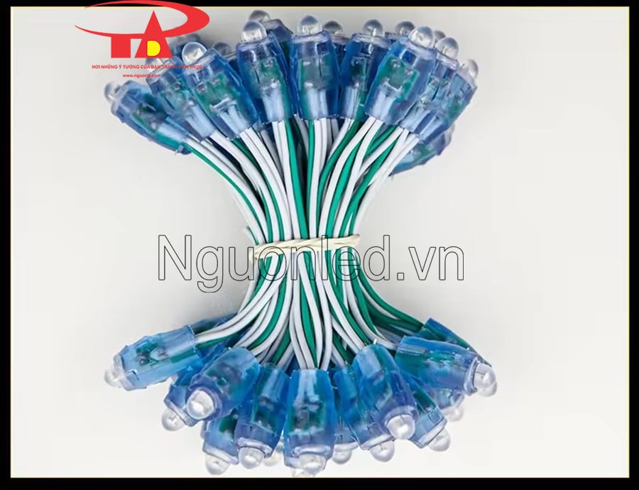 Dây đèn led quấn cây ngoài trời 12v màu xanh dương