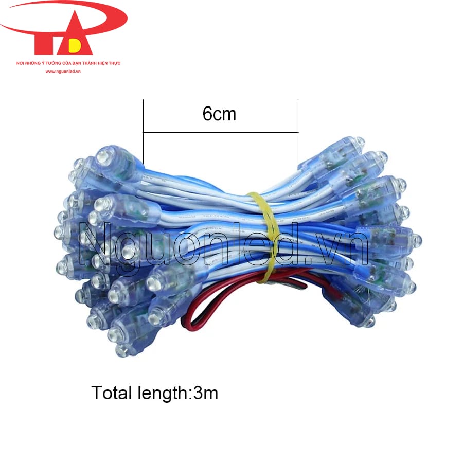 Dây đèn led quấn cây ngoài trời màu xanh dương