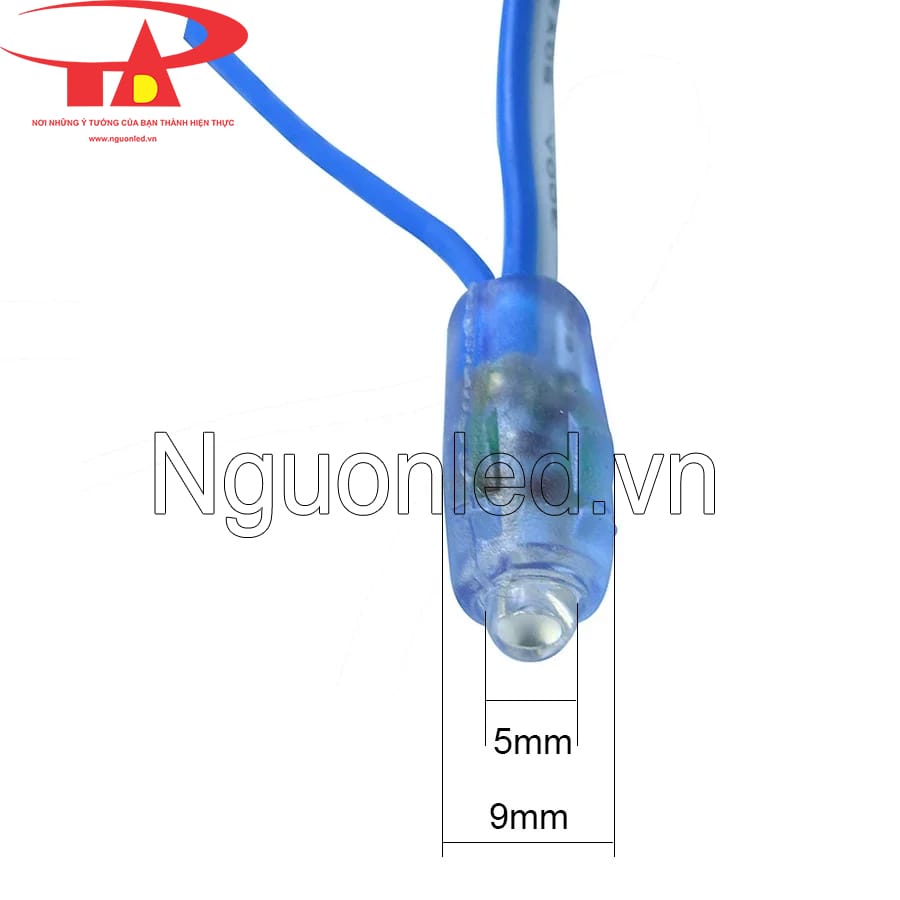 Led F5 12v xanh dương chất lượng cao