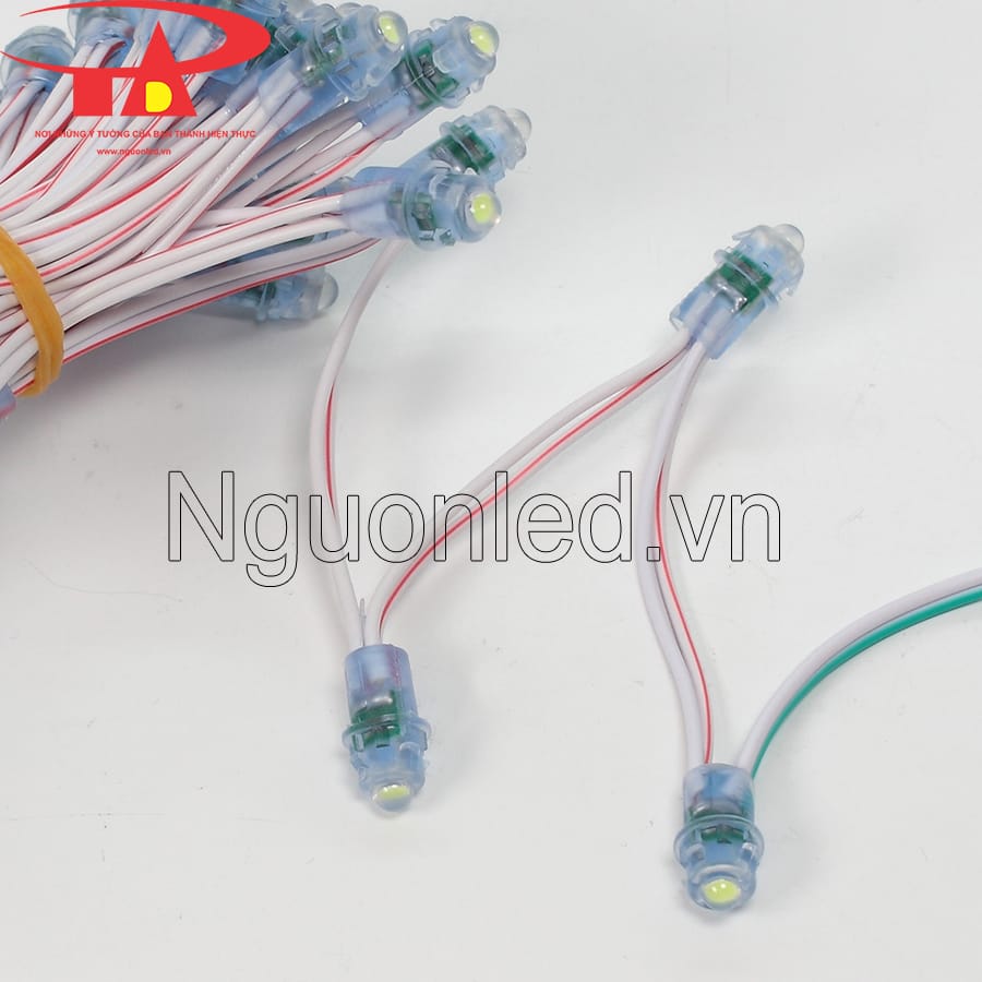 Led đúc F5 đế 9mm sử dụng điện áp DC 12V