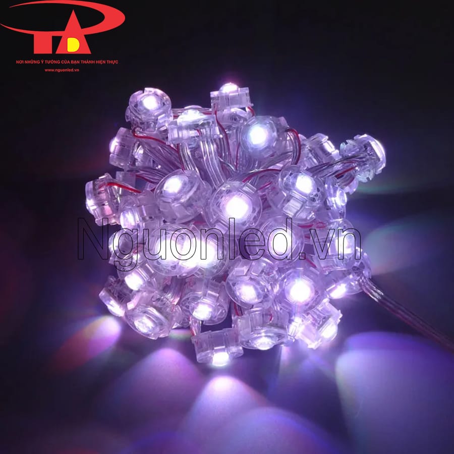 Led bát 20mm full color ngoài trời