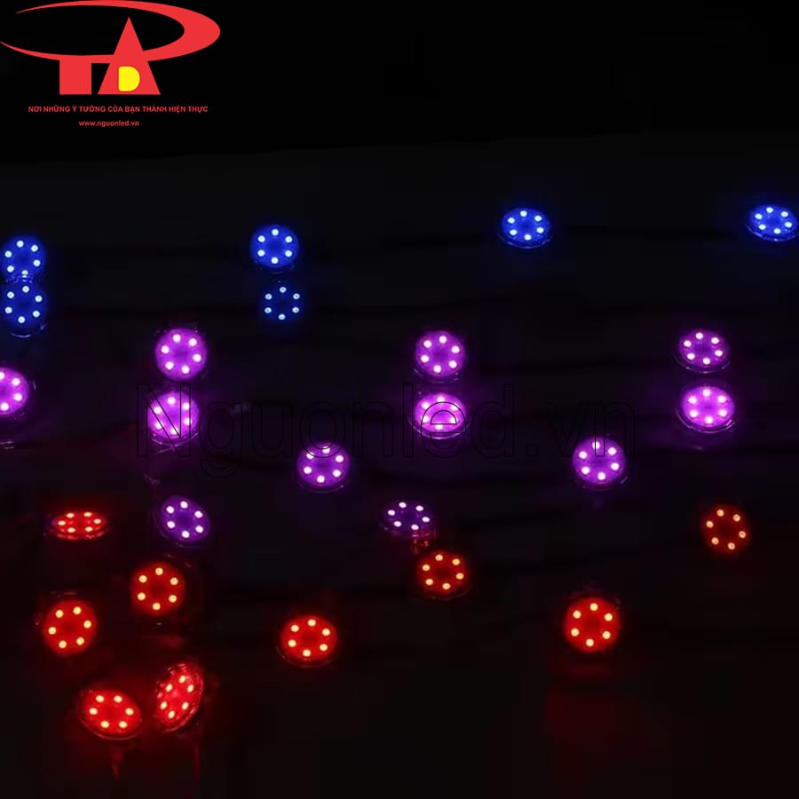 Led bát full color dùng điện 24VDC