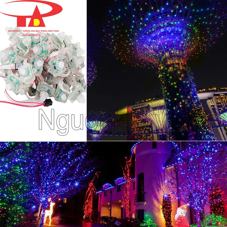 Led đúc full color dùng để quấn cây