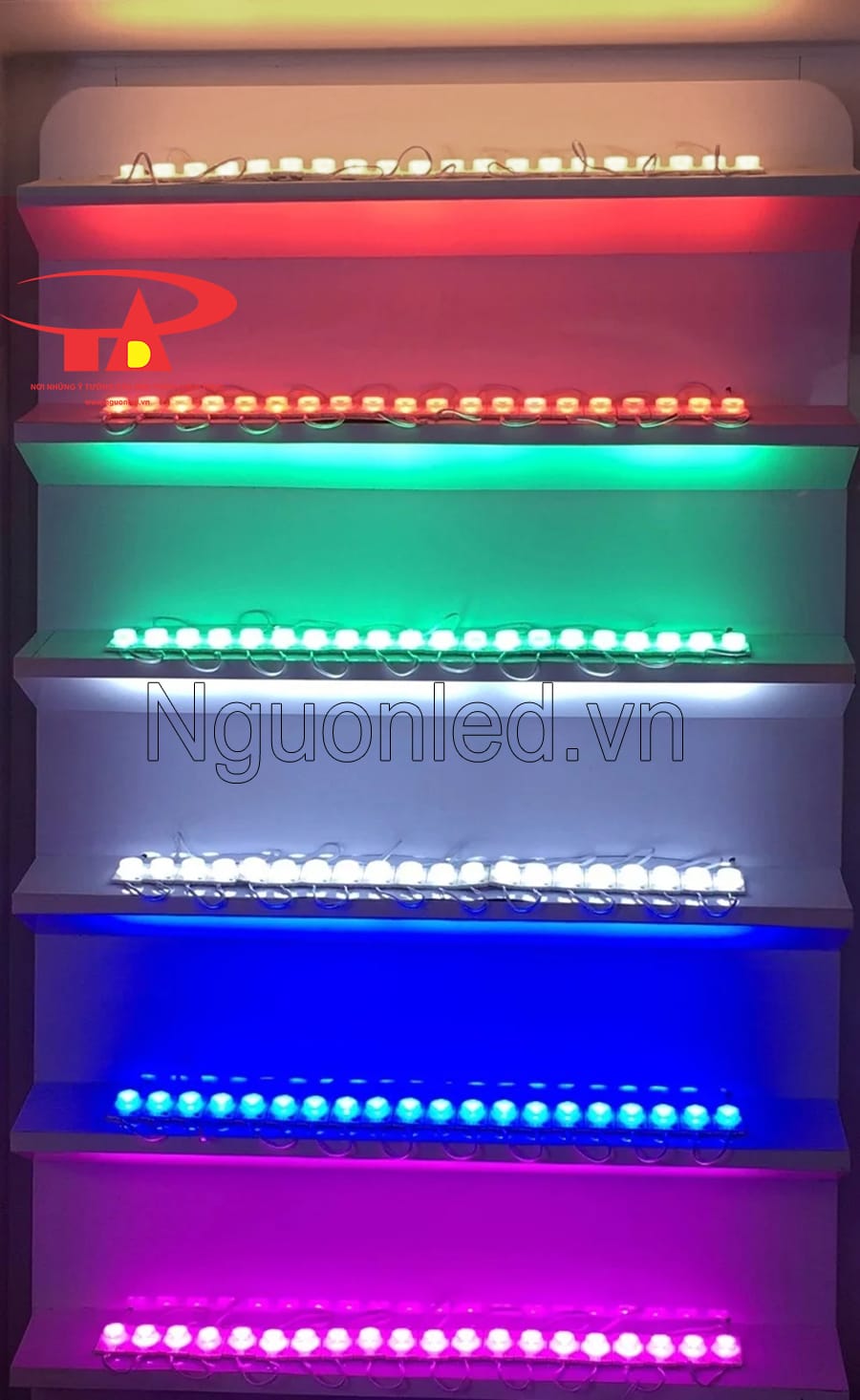 Led hắt mắt trâu ánh sáng trắng, vàng, xanh lá, đỏ, xanh dương, hồng