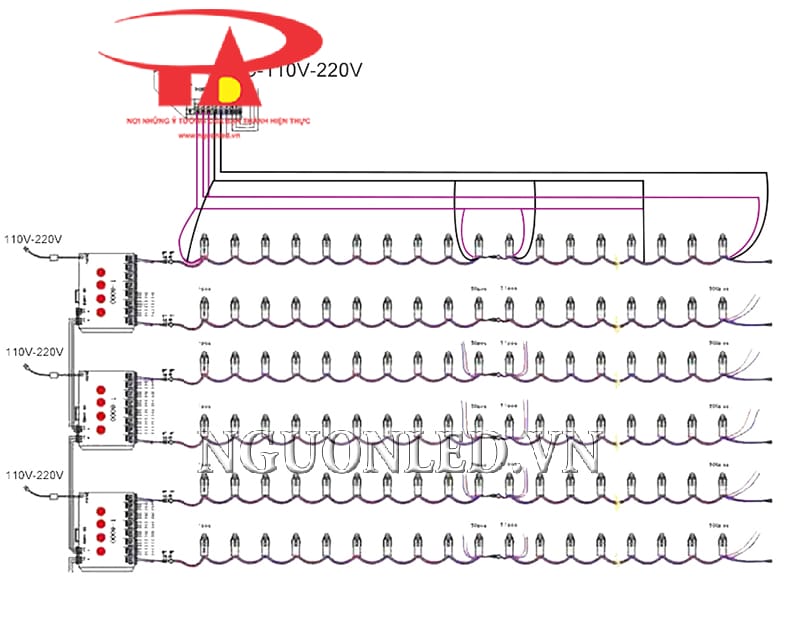 Hướng dẫn đấu dây led đúc đầu đục màu tím