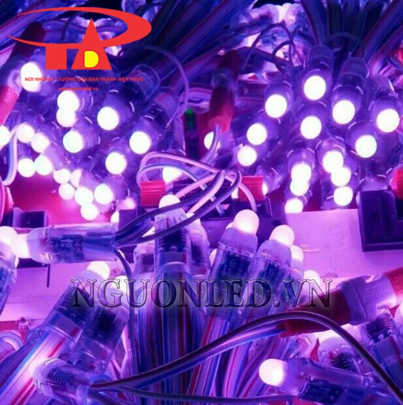 Led đúc f7 5V đầu đục ánh sáng tím