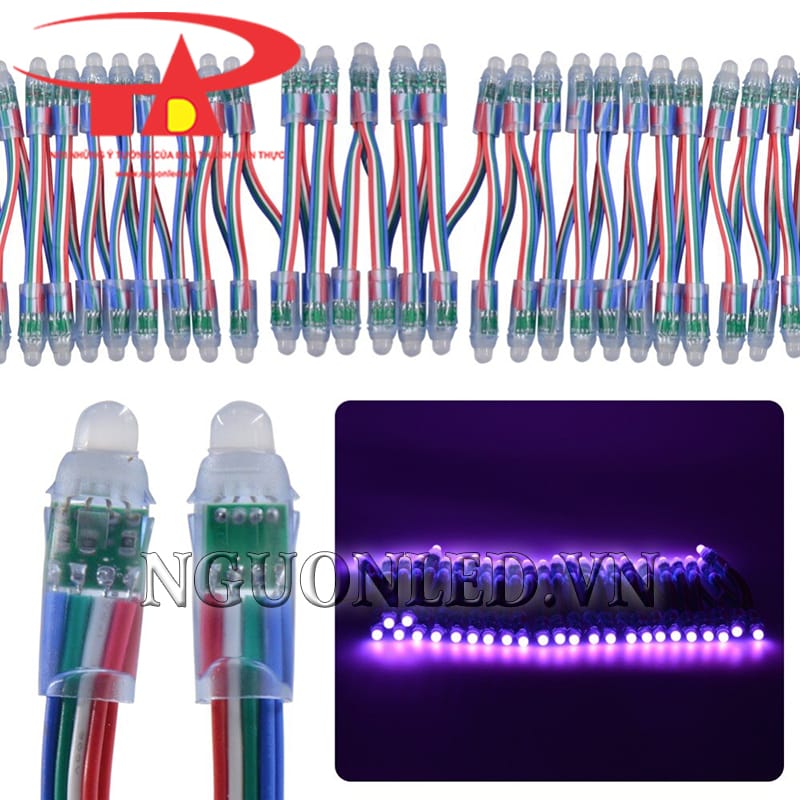 Đèn led dây hạt đúc chống nước 5V màu tím