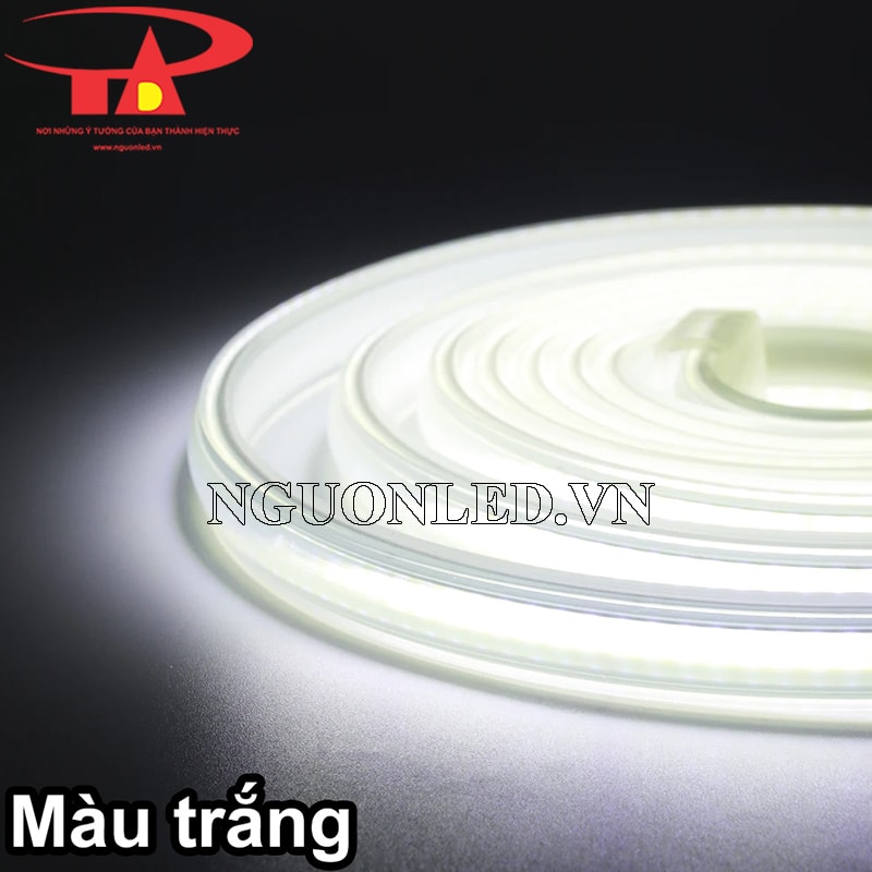 Dây led cuộn 100m 220V màu trắng