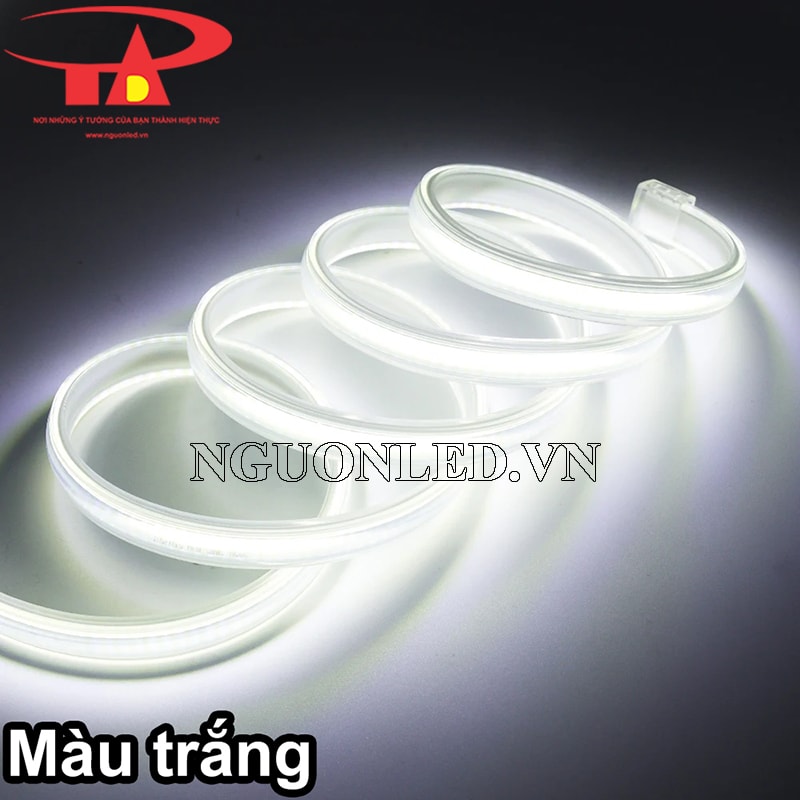 Đèn led cob cuộn 100m ánh sáng trắng